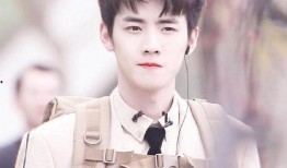 最新爆料任豪事件视频完整版,真相与争议交织